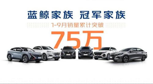 让人放心的 大块头 ,比探岳大一圈,搭 冠军动力 顶配13万多