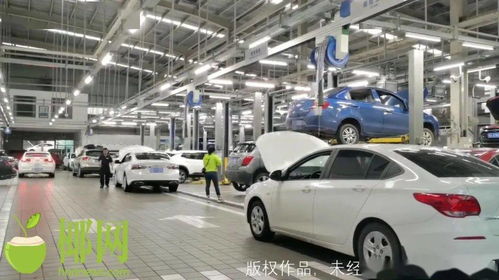 修修修 台风过后,海口汽车4s店和维修厂 有点忙